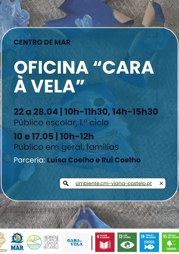 cara_a_vela_facebook_1