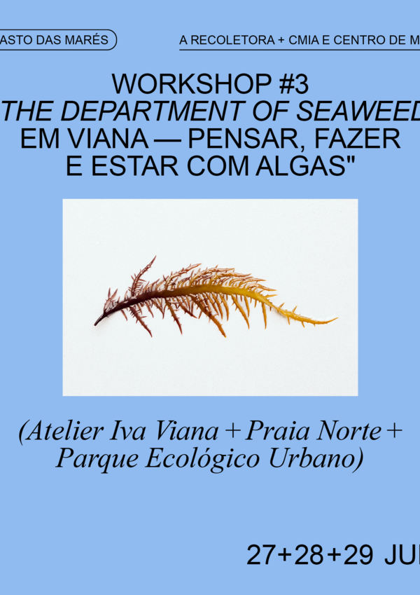 pasto_das_mares_workshop__3_the_department_of_seaweed_em_viana_pensar__fazer_e_estar_com_algas_ju...