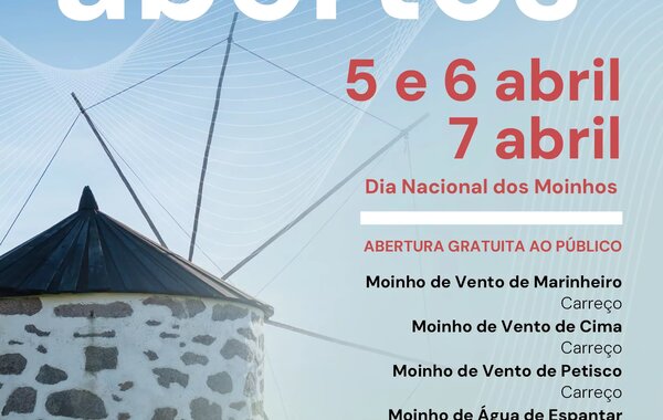 dia_dos_moinhos_cartaz