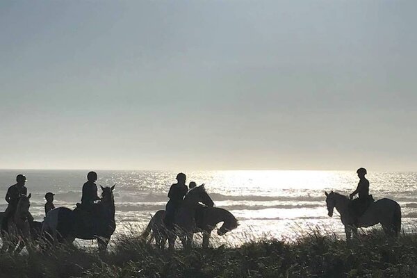 northdiscovery_equestre1