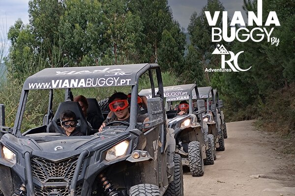 buggy5