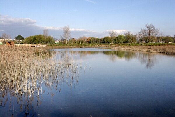 parque__9__sunana_matos__1024x683_