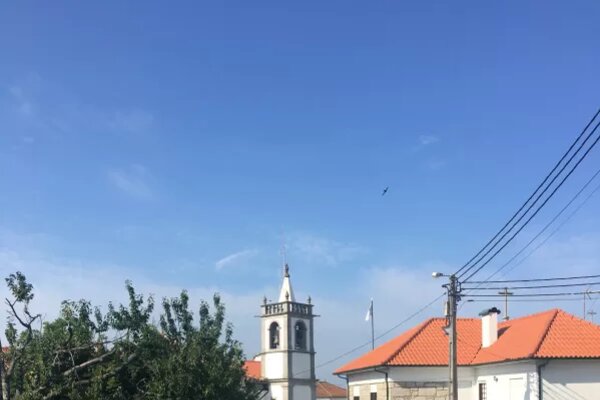 aru_anha_4