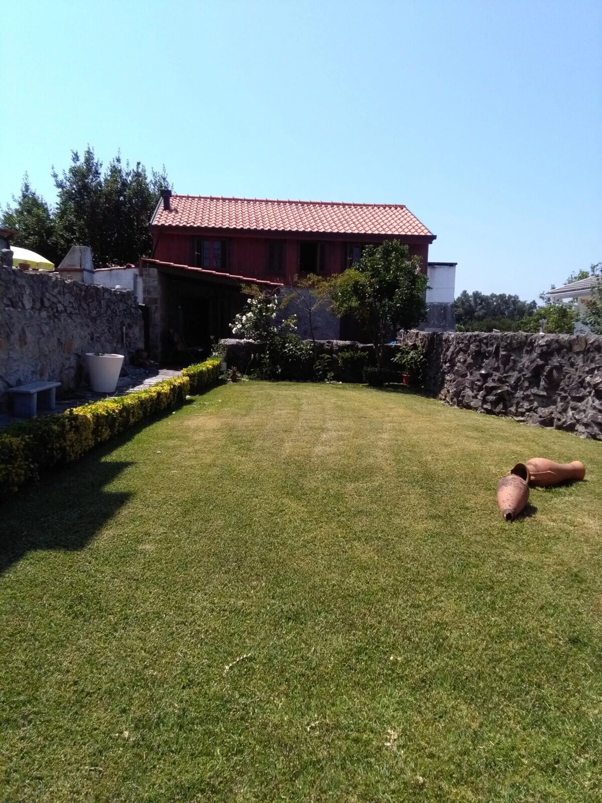 Image62