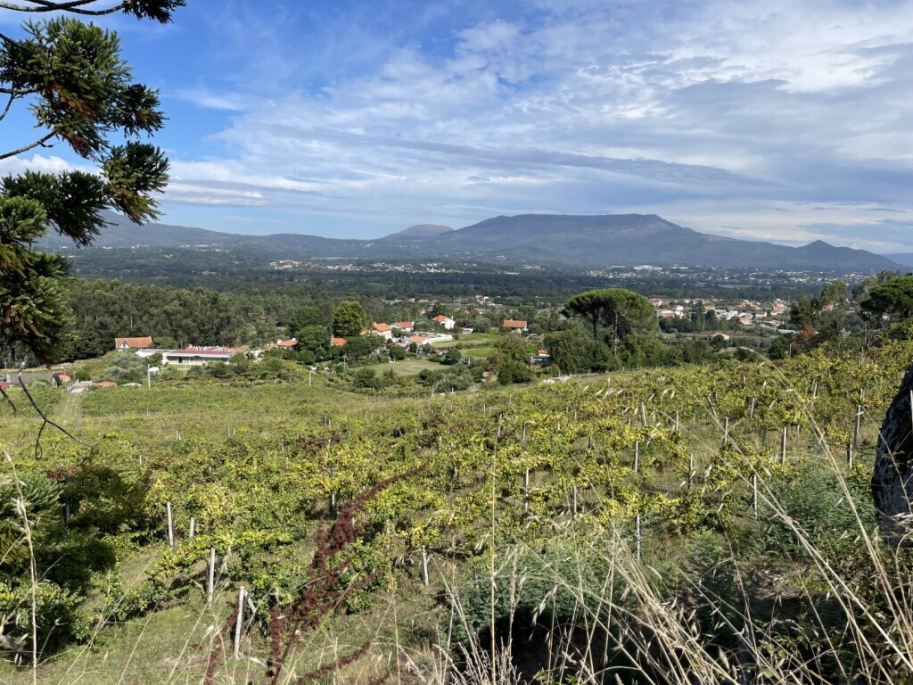 solar_merufe2