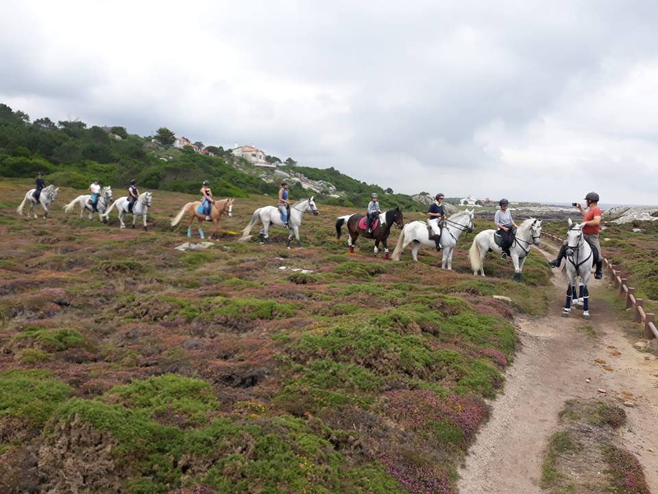 northdiscovery_equestre2__1_