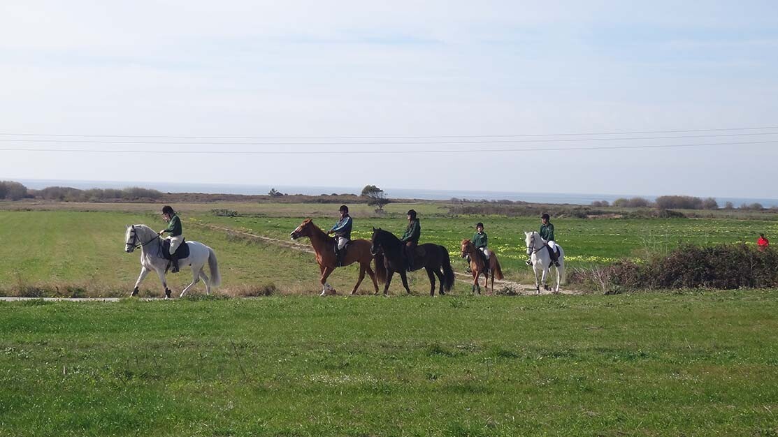 equestre3