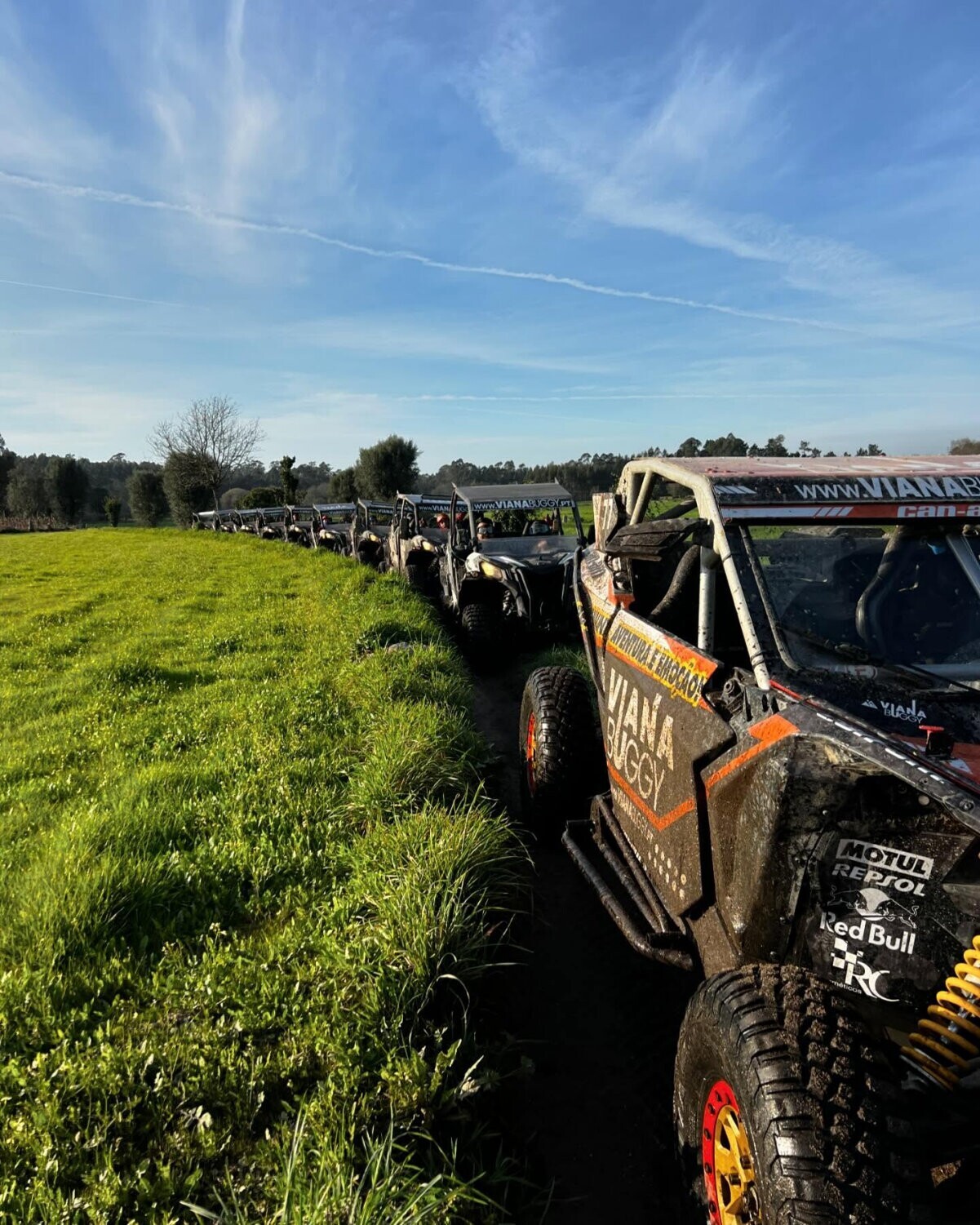 buggy3
