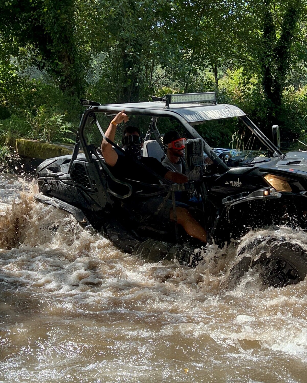 buggy1