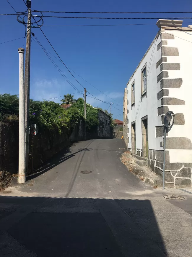 aru_alvaraes2022_3