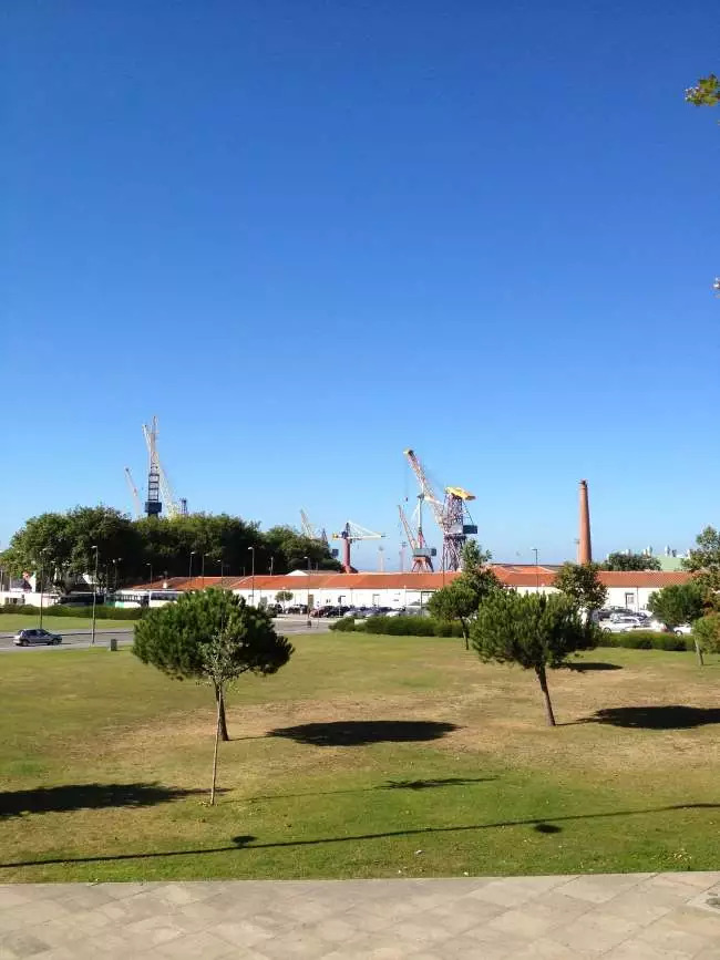 frvc_foto_1