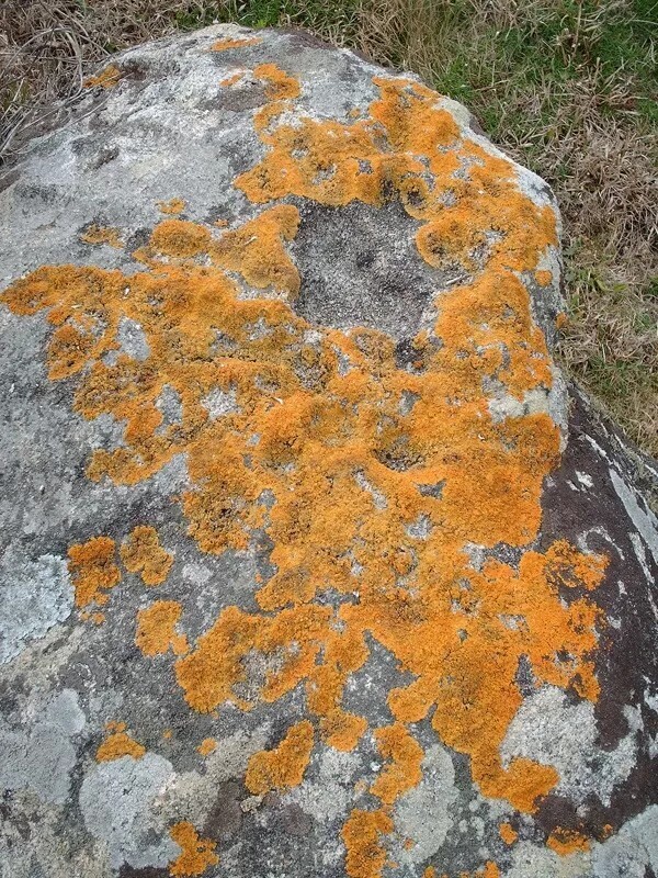 pedra_do_sol_gravuras_rupestres_carreco