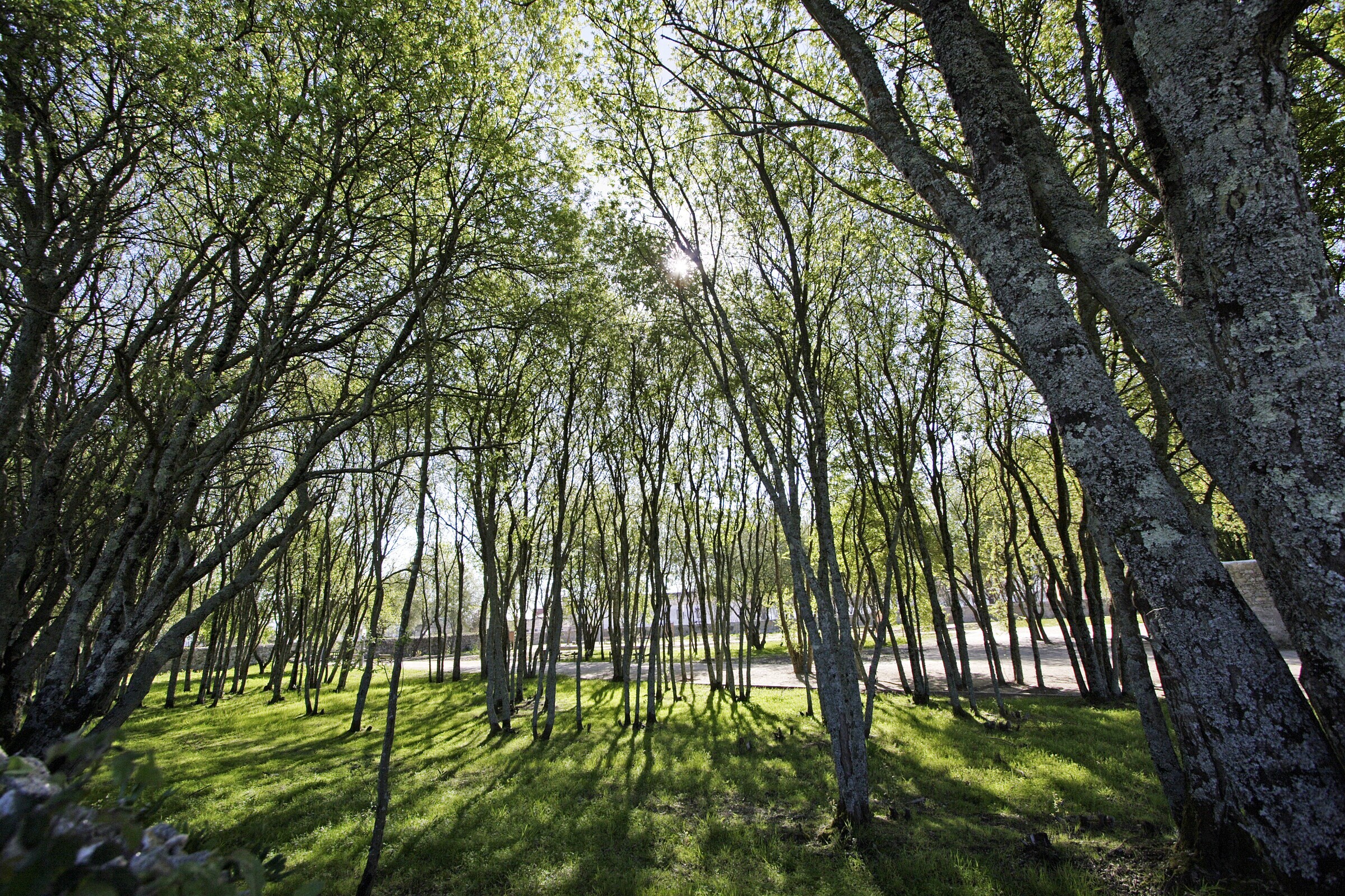parque