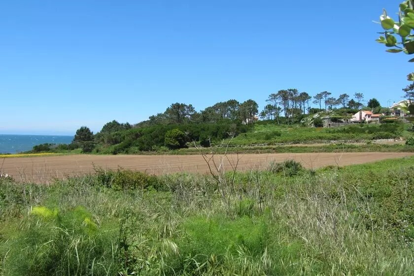 fornelos3