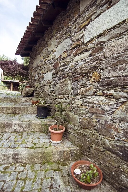 Image81