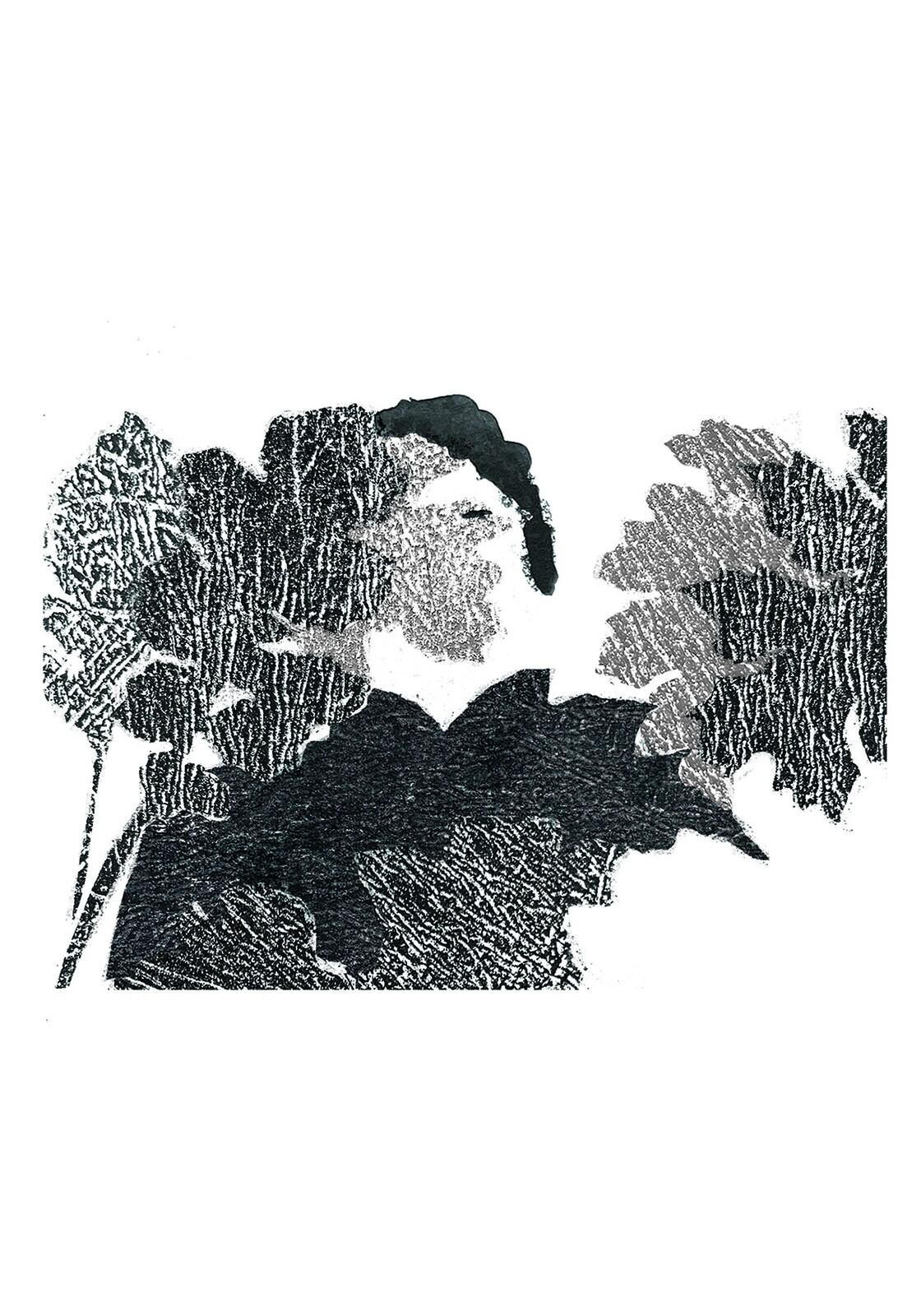EXPOSIÇÃO - A METAMORFOSE DOS PÁSSAROS