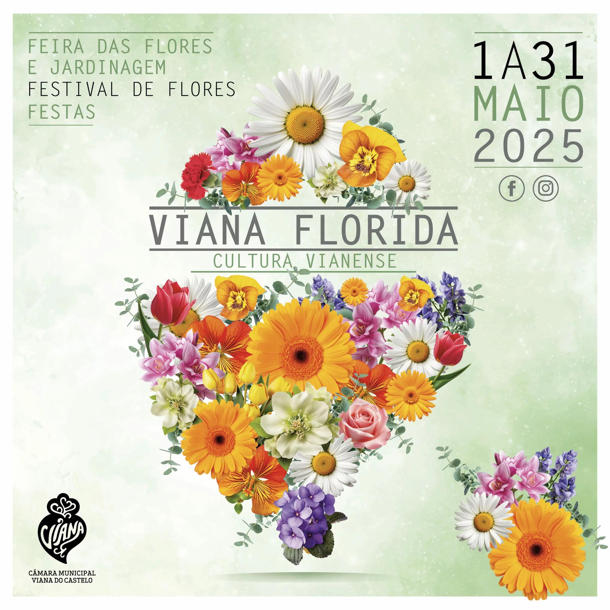 Viana Florida regressa no fim de semana com tema “Cultura Vianense”