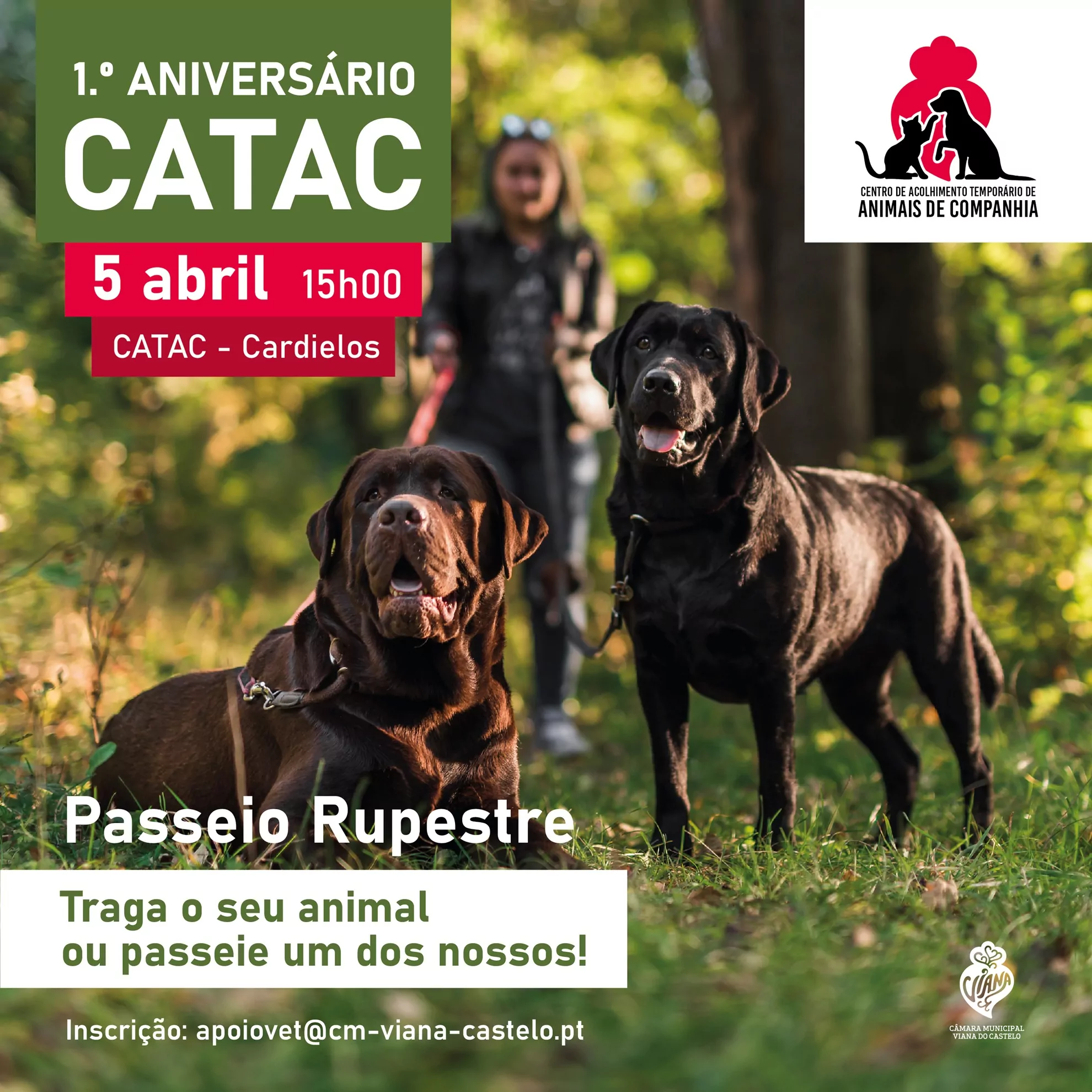 1º aniversário do Centro de Acolhimento Temporário de Animais de Companhia assinalado com passeio...