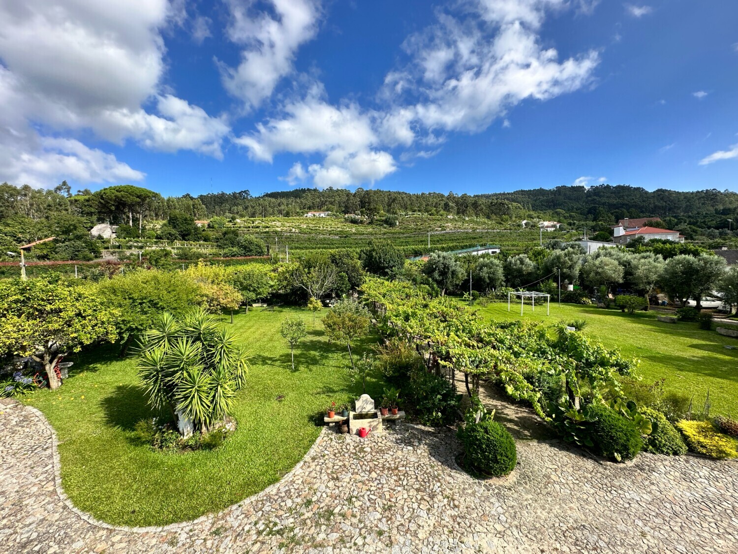 Vinhos e Enoturismo - Enoturismo / Prova de vinhos na adega / Trabalhos na vinha