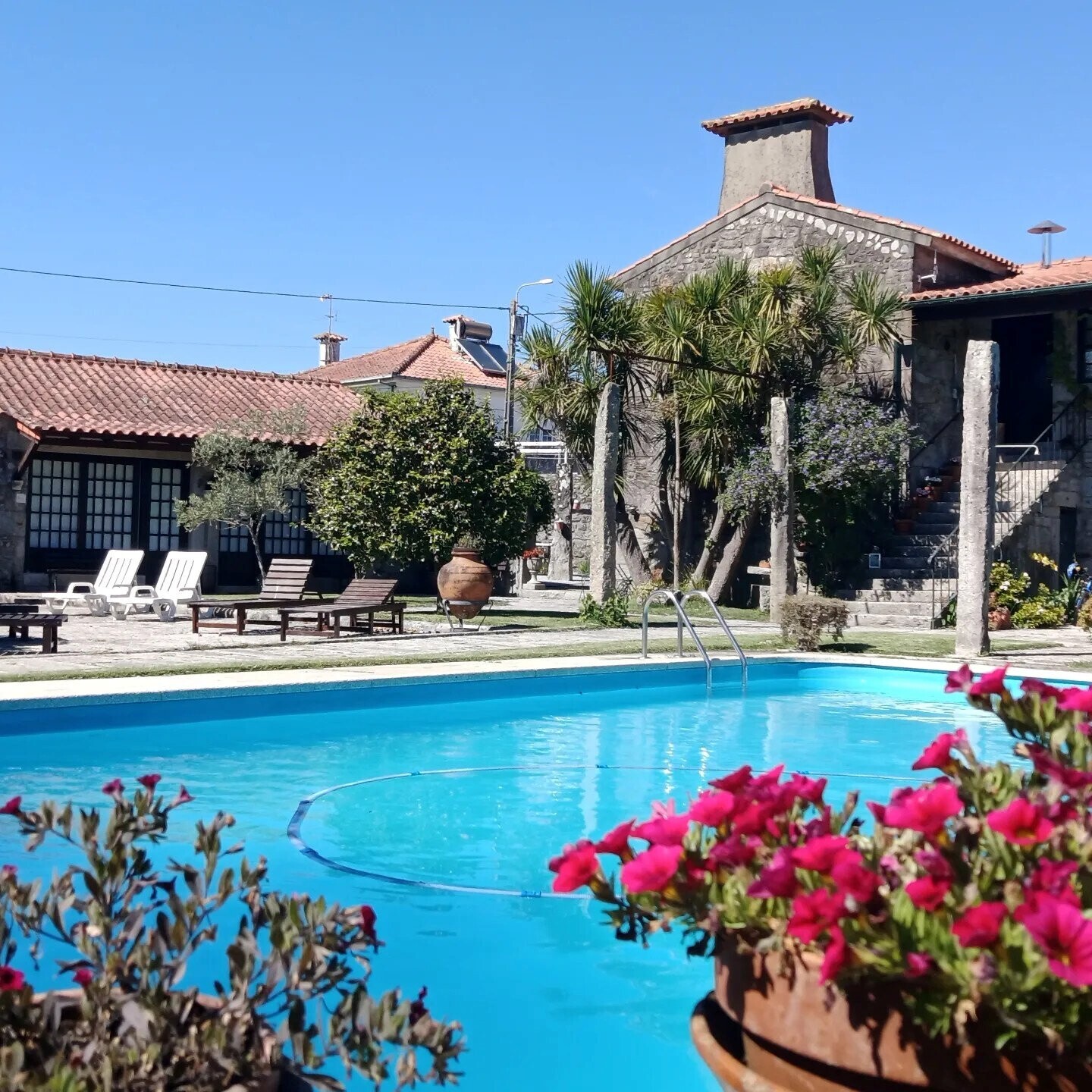 Vinhos e Enoturismo - Enoturismo / Prova de vinhos na adega em Casa de Campo / Guest House
