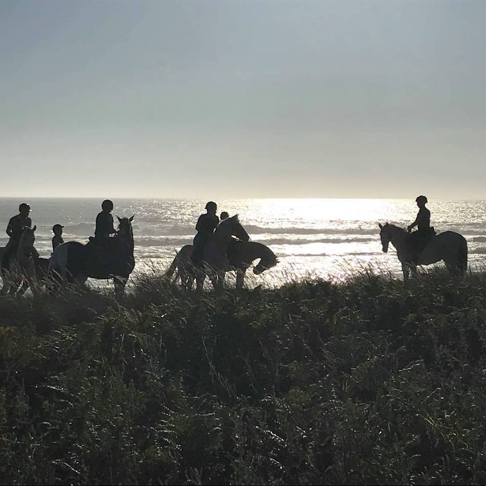 Passeio Equestre