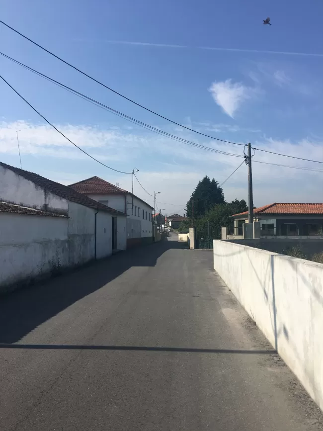 ARU Alvarães