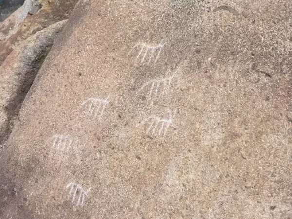 Gravuras Rupestres de Carreço