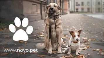 novopet